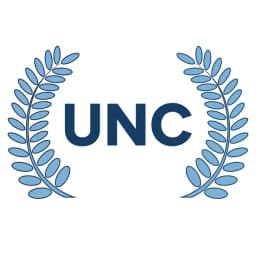 The Undergraduate Award in Economics